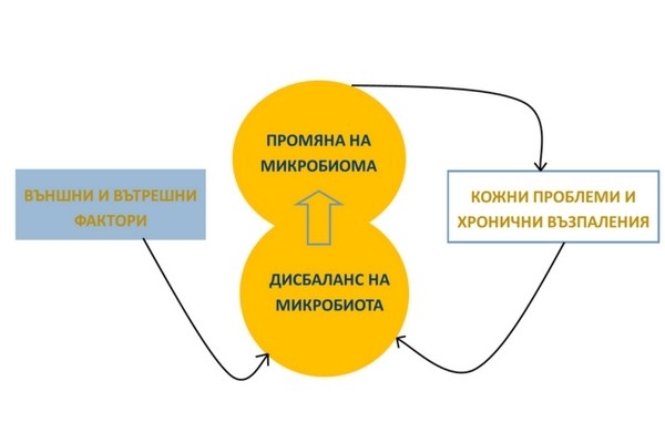 ACTIBIOME® – Пребиотикът за здрава кожа