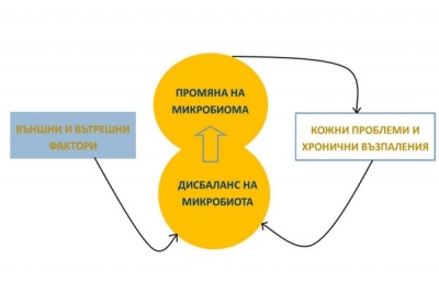 ACTIBIOME® – Пребиотикът за здрава кожа
