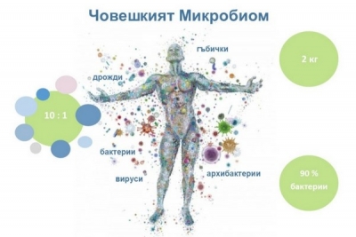Човешкият микробиом – не сме това, което мислим